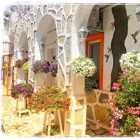 Sade * Bodrum