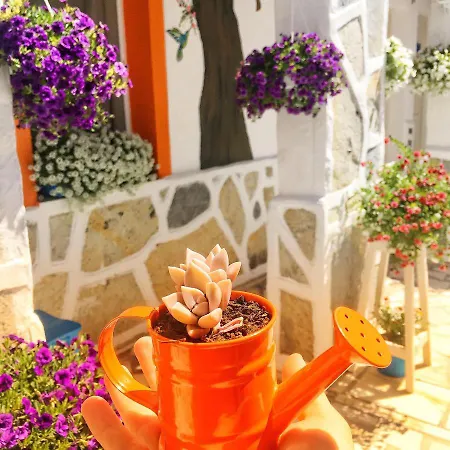 Bodrum Sade Otel Hotel