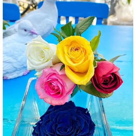 Bodrum Sade Otel Hotel