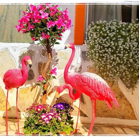 Hotel Sade Bodrum