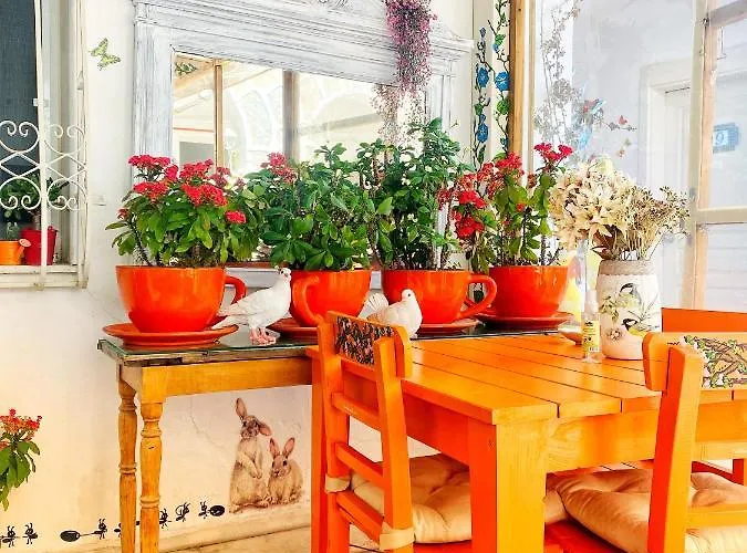 酒店 博德鲁姆萨德民宿酒店 *