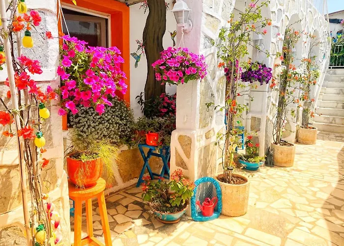 博德鲁姆萨德民宿酒店 酒店 博德鲁姆