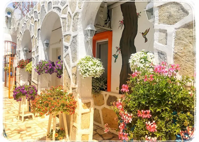 博德鲁姆萨德民宿酒店 酒店 *