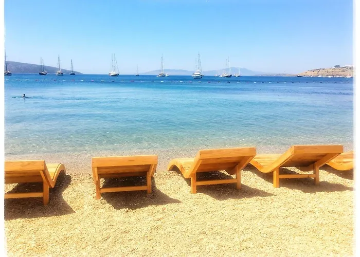 酒店 博德鲁姆萨德民宿酒店 博德鲁姆