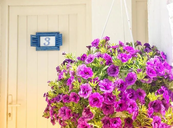 酒店 博德鲁姆萨德民宿酒店 *