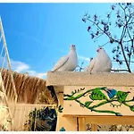 Sade * Bodrum